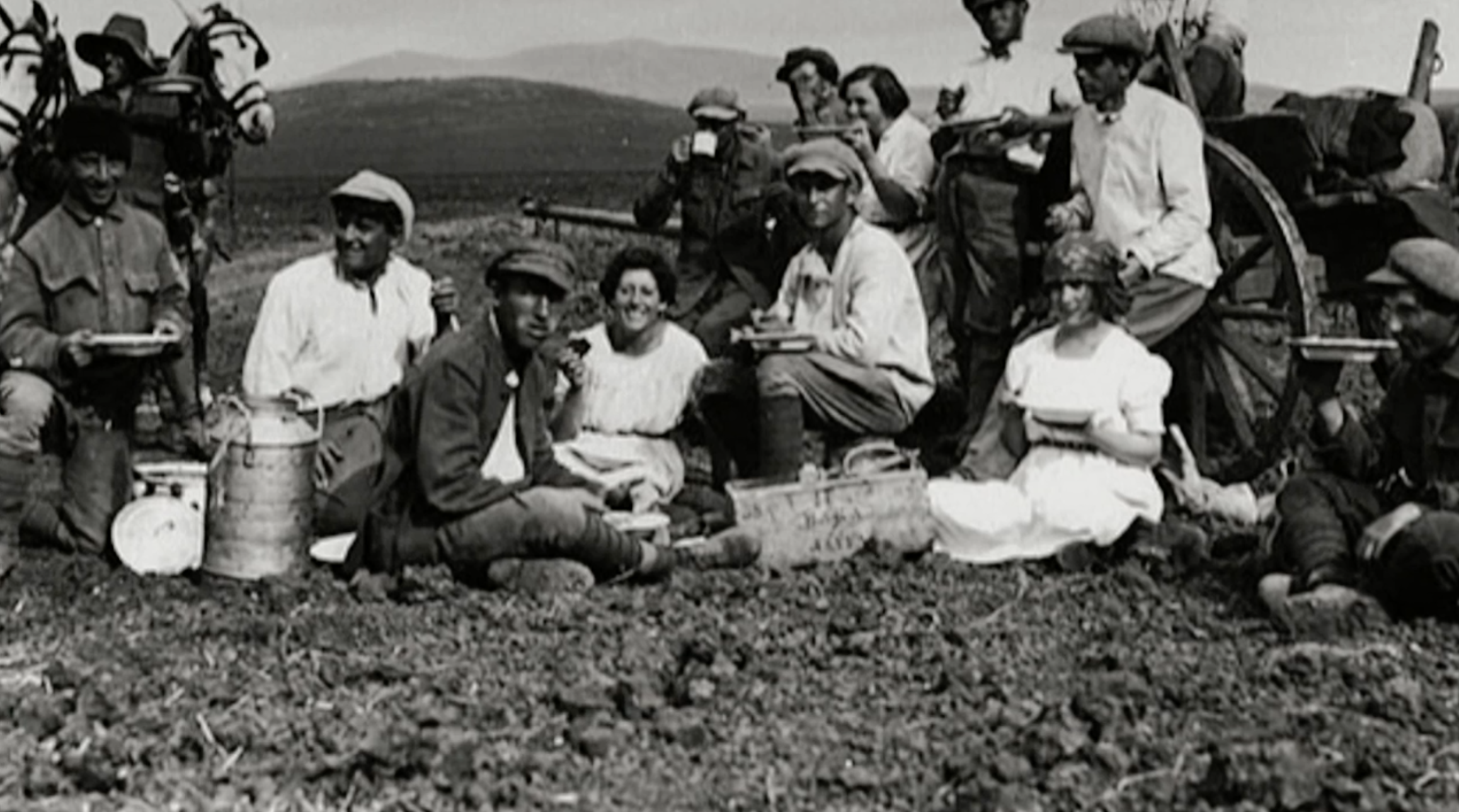 Kibbutznik Picnic